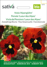 Sativa Viola Alpenglühn