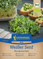 Kiepenkerl BIO Keimsprossen Microgreen Pads Senf Nachfüllpad