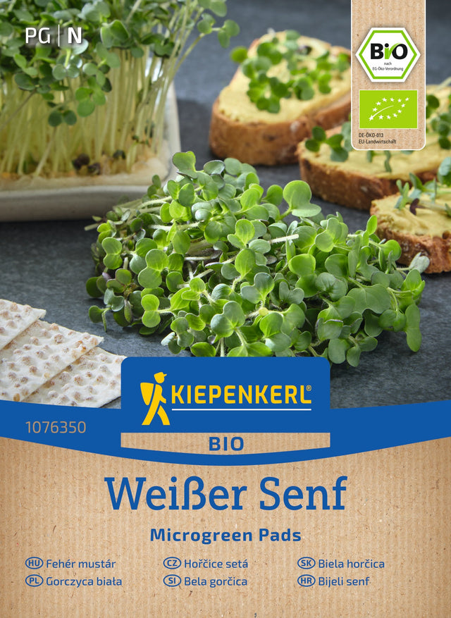 Kiepenkerl BIO Keimsprossen Microgreen Pads Senf Nachfüllpad