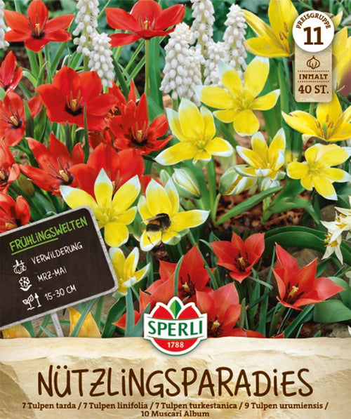 Frühlingsgarten Nützlingsparadies
