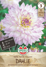 SPERLI Dahlie Crazy Love