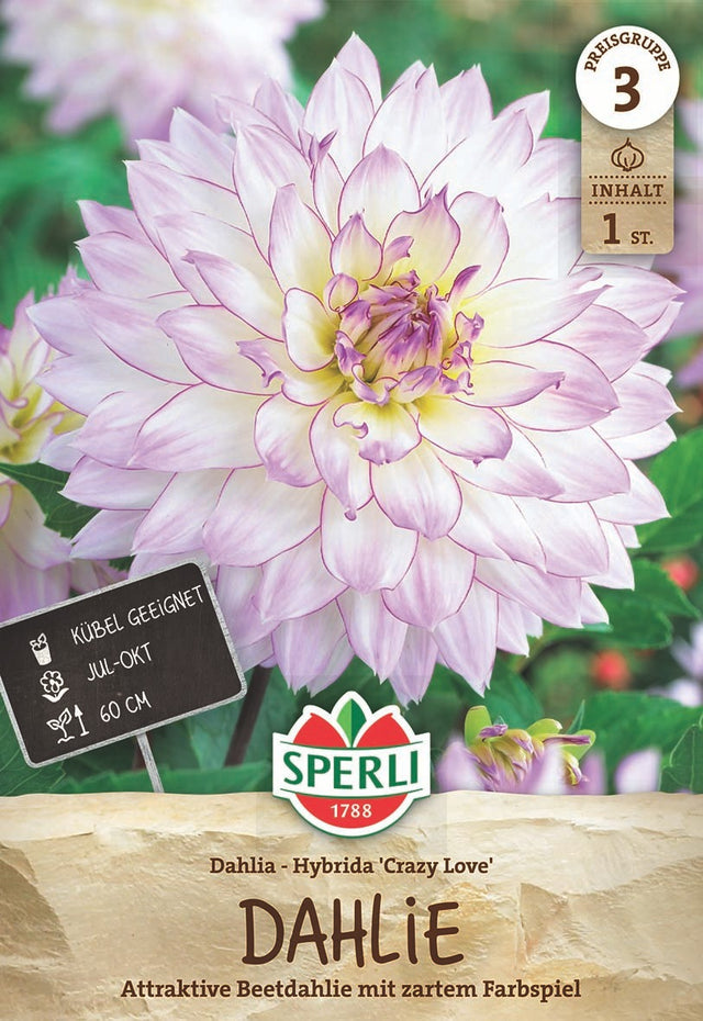 SPERLI Dahlie Crazy Love