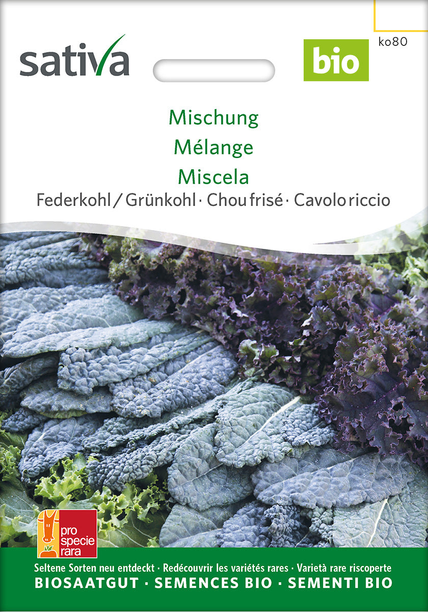 Sativa Federkohl / Grünkohl Mischung