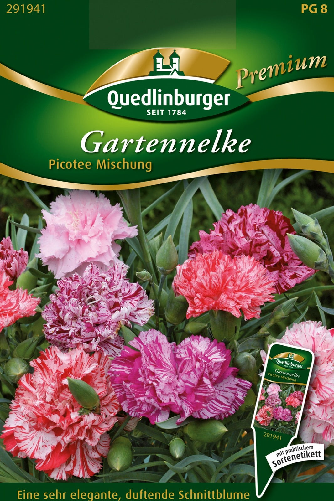 Quedlinburger Chabaudnelke Picotee Mischung