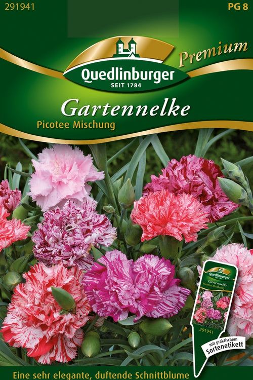 Quedlinburger Chabaudnelke Picotee Mischung