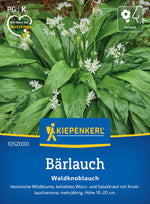Kiepenkerl Bärlauch Waldknoblauch