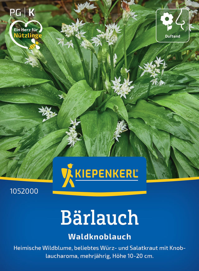 Kiepenkerl Bärlauch Waldknoblauch