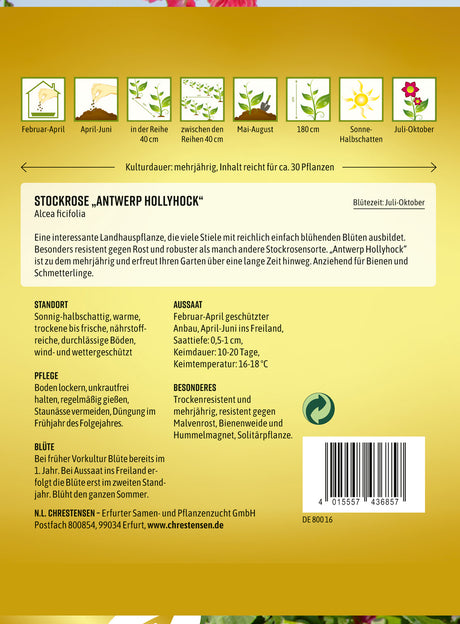 N.L. Chrestensen Stockrose Antwerp Hollyhock