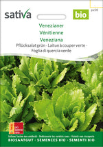 Sativa Pflücksalat grün Venezianer