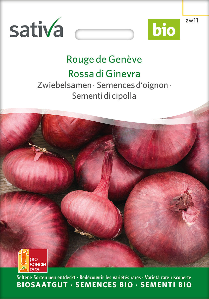 Sativa Zwiebelsamen Rouge de Genève