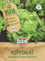 SPERLI BIO Kopfsalat Suzan