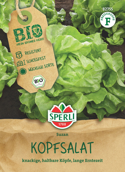 SPERLI BIO Kopfsalat Suzan