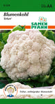 Samen Pfann Blumenkohl Erfurt