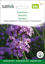 Sativa Eisenkraut