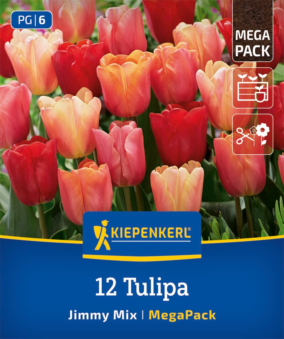Mega-Pack Triumph-Tulpen Jimmy Mix