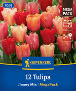 Mega-Pack Triumph-Tulpen Jimmy Mix