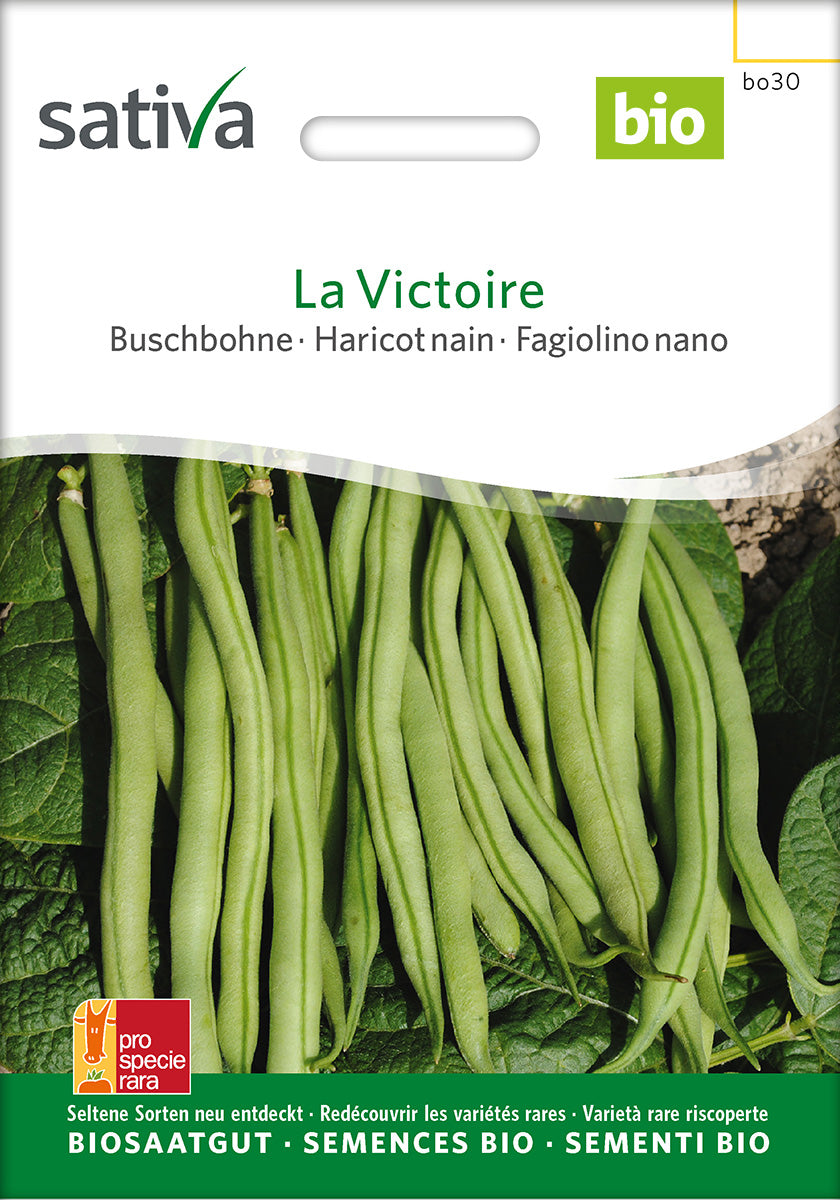 Sativa Buschbohne La Victoire