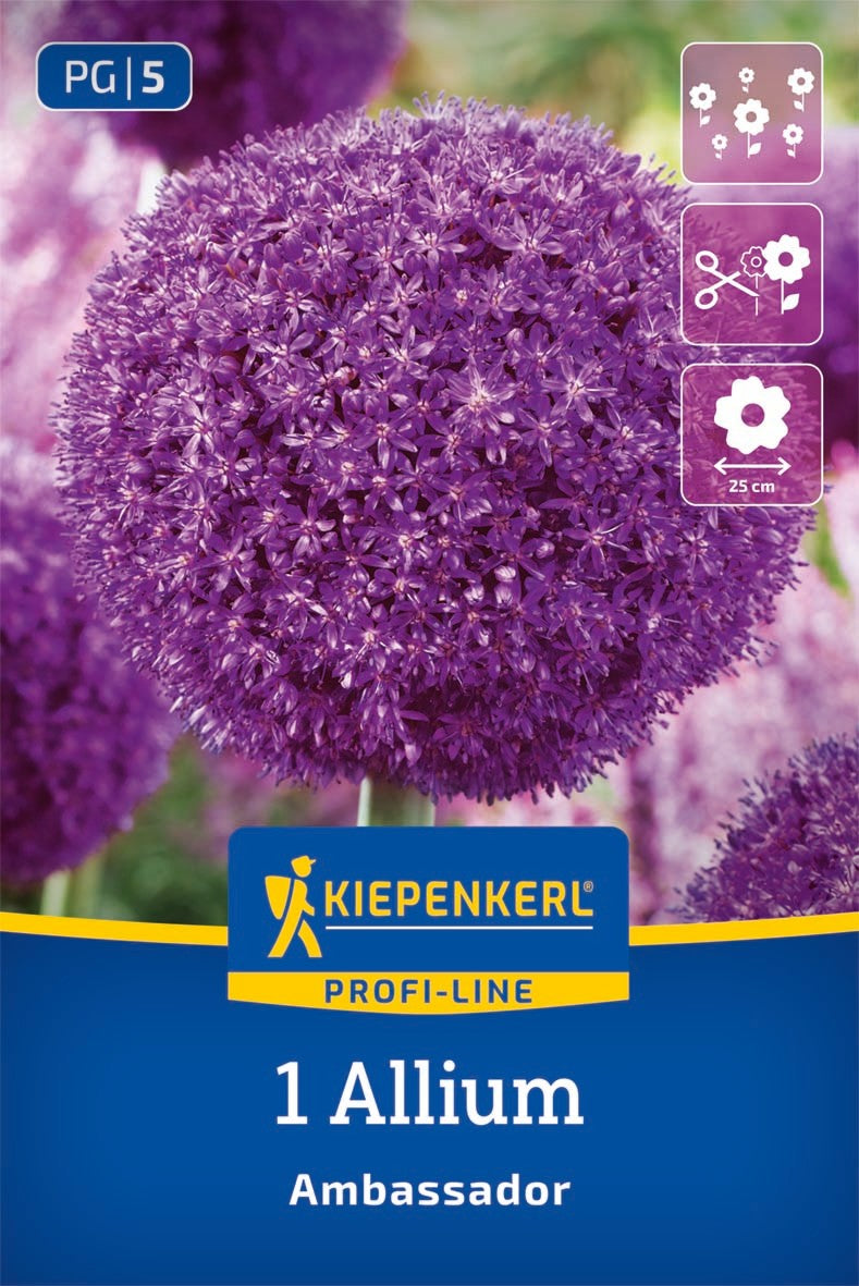 Profi-Line Zierlauch Ambassador