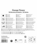 Mega Pack Orange Flower