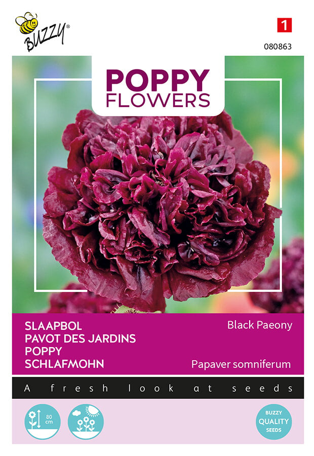 Buzzy Seeds Mohn  Black Paeony