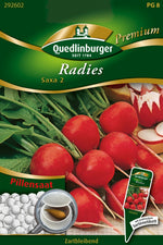 Quedlinburger Radieschen Saxa 2 Pillensaat