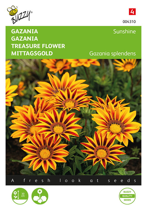 Buzzy Seeds Mittagsgold Sunshine Mischung