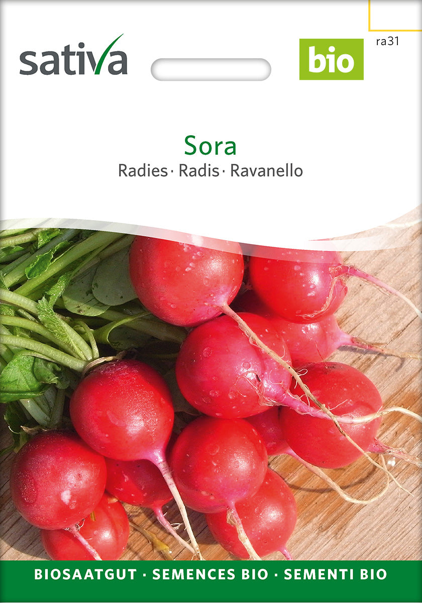 Sativa Radies Sora