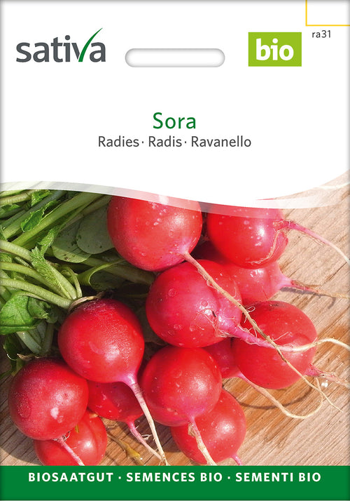 Sativa Radies Sora
