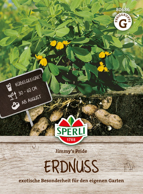 SPERLI Erdnuss Jimmy's Pride