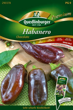 Quedlinburger Chili Habanro Chocolate