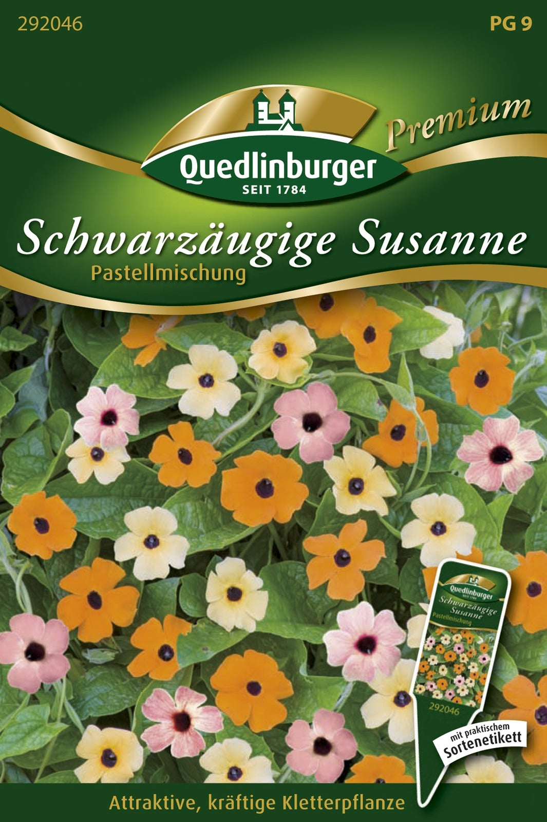 Quedlinburger Schwarzäugige Susanne Pastellmischung