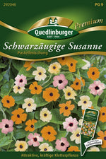 Quedlinburger Schwarzäugige Susanne Pastellmischung