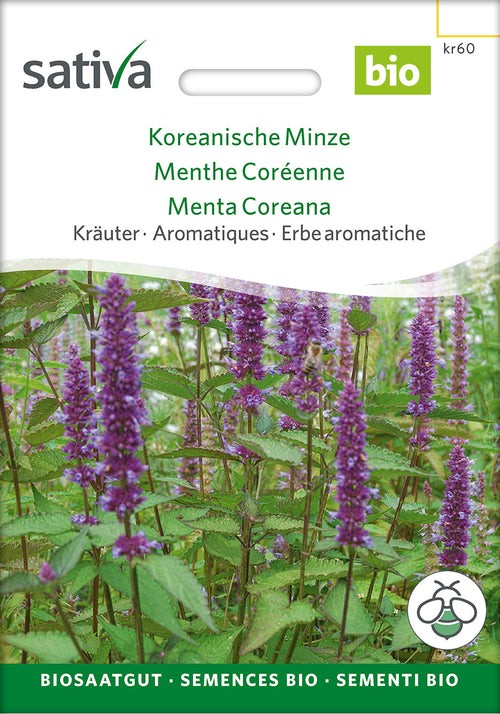 Sativa Koreanische Minze