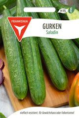 Frankonia Samen Gurke Saladin