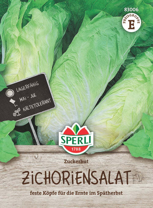 SPERLI Zichoriensalat Zuckerhut