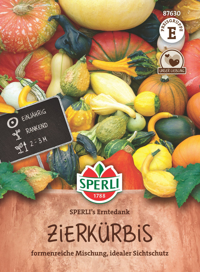 SPERLI Zierkürbis SPERLI's Erntedank