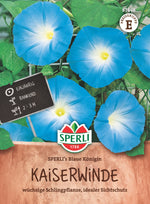 SPERLI Prunkwinde SPERLI's Blaue Königin