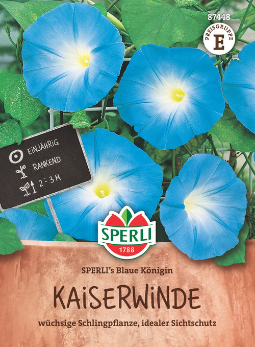 SPERLI Prunkwinde SPERLI's Blaue Königin