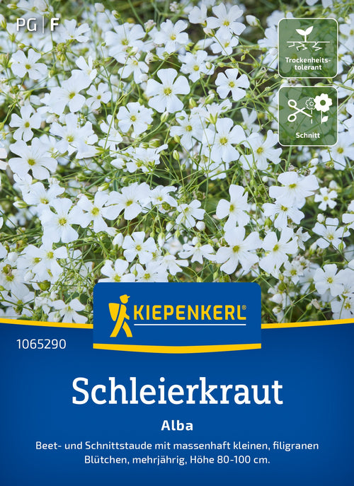 Kiepenkerl Schleierkraut Alba
