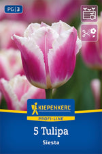 Profi-Line Gefranste Tulpe Siesta