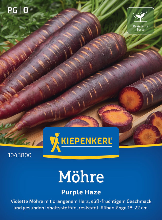 Kiepenkerl Möhren Purple Haze