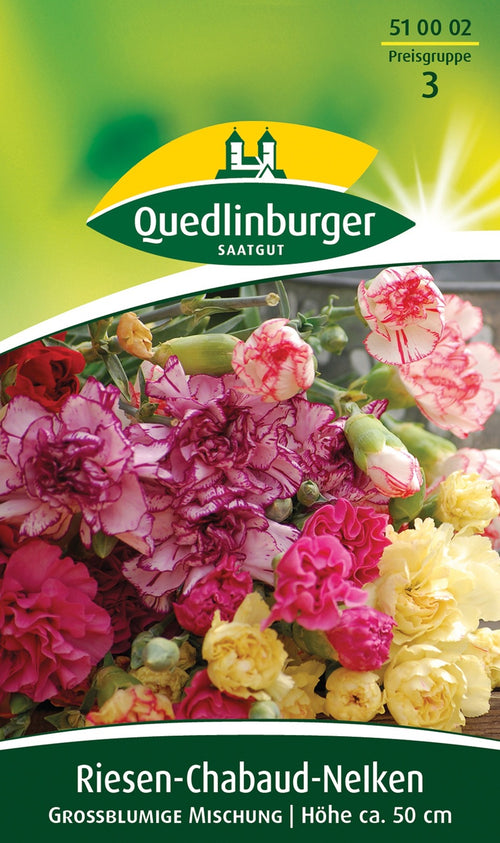 Quedlinburger Chabaudnelke großblumige Mischung