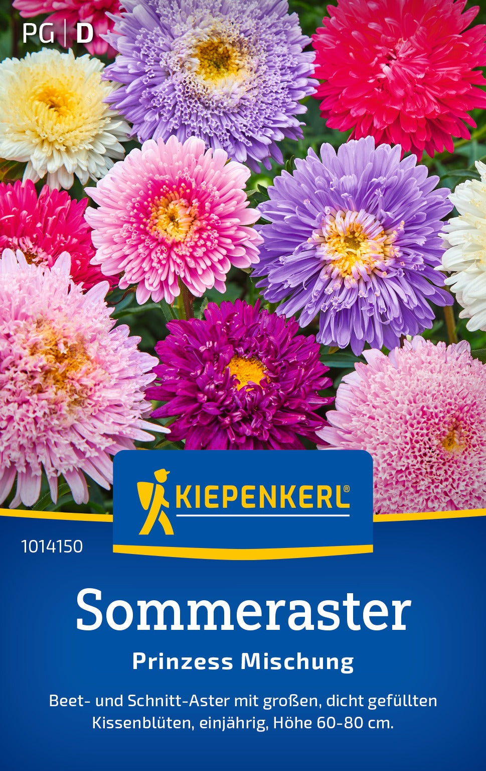 Kiepenkerl Sommeraster Prinzess Mischung