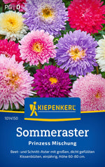 Kiepenkerl Sommeraster Prinzess Mischung
