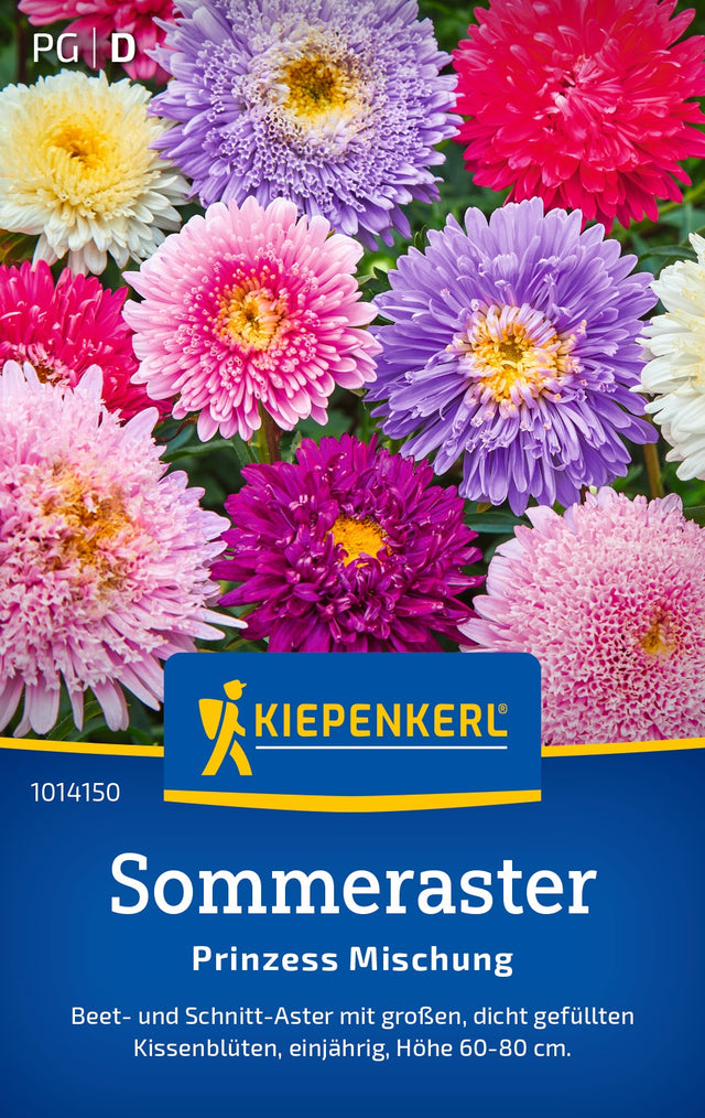 Kiepenkerl Sommeraster Prinzess Mischung