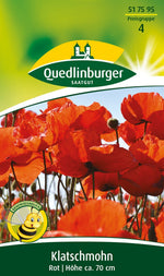 Quedlinburger Klatschmohn rot