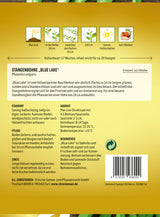 N.L. Chrestensen Stangenbohne Blue Lake