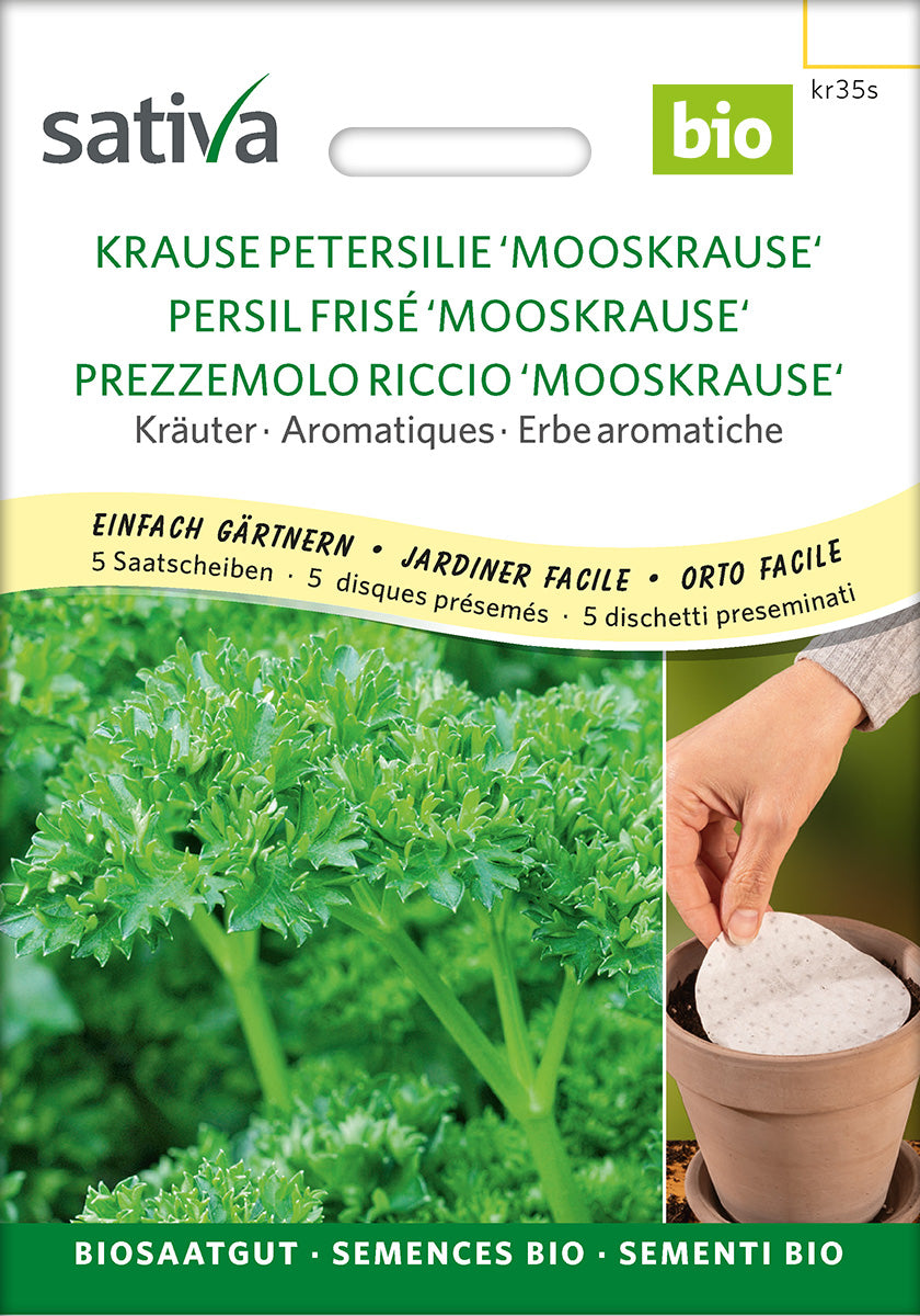 Sativa Krause Petersilie Mooskrause Saatscheibe