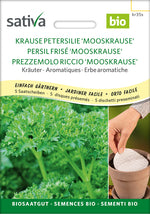 Sativa Krause Petersilie Mooskrause Saatscheibe