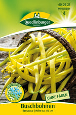 Quedlinburger Buschbohne Berggold
